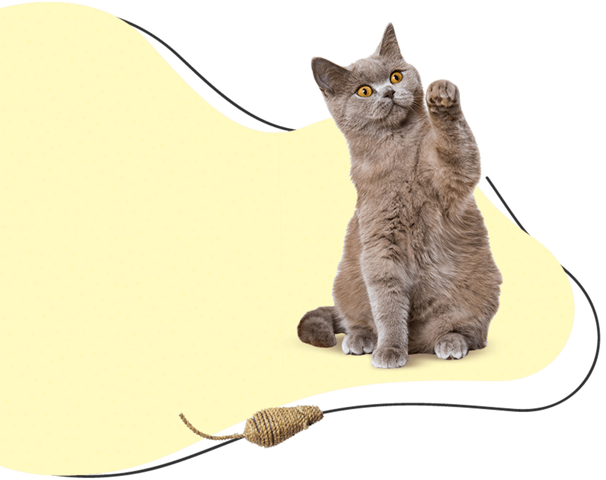 Pawsitive https://exoticsrwithus.gmfusion.pt/wp-content/uploads/2019/07/hero_image_04.png