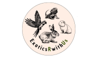 https://exoticsrwithus.gmfusion.pt/wp-content/uploads/2019/07/logo_orange.png