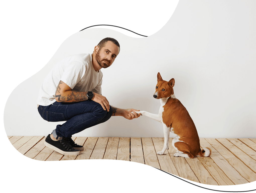 Pawsitive https://exoticsrwithus.gmfusion.pt/wp-content/uploads/2019/08/hero_image_08.png