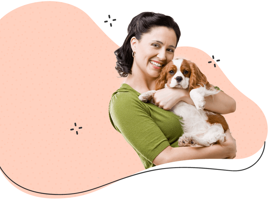 Pawsitive https://exoticsrwithus.gmfusion.pt/wp-content/uploads/2019/08/hero_image_09.png