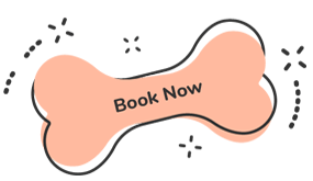 https://exoticsrwithus.gmfusion.pt/wp-content/uploads/2019/08/text_07.png