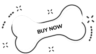 https://exoticsrwithus.gmfusion.pt/wp-content/uploads/2019/08/text_08.png