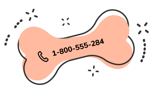 https://exoticsrwithus.gmfusion.pt/wp-content/uploads/2019/09/text_pink_01.png