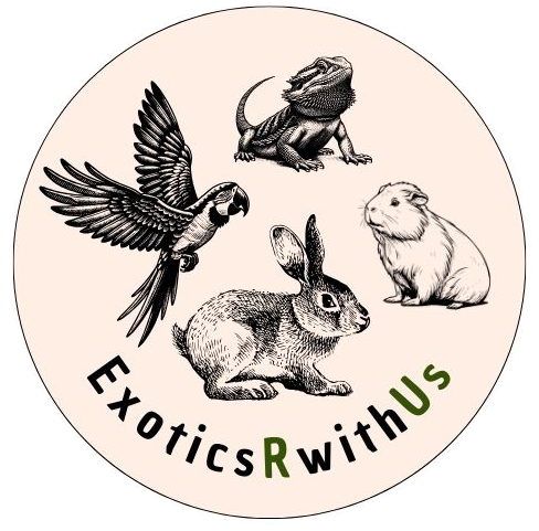 https://exoticsrwithus.gmfusion.pt/wp-content/uploads/2026/05/Logo.png